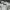 Floral Short Sleeve Shirt – The Executive

 photo 3