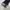 Celana Skinny Jeans Zozo photo 6