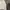 HOODIE JIPPER ABER photo 2