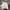 HOODIE JIPPER ABER photo 1