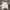 HOODIE JIPPER ABER