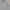 Kemeja boxy CNN grey skena kalcer shirt photo 3