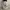Dickies Doubleknee White photo 2