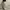 Dickies Doubleknee White photo 3