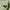 Kemeja boxy Lasain green skena kalcer shirt photo 3