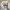 Kemeja boxy CNN white grey skena kalcer shirt photo 3