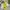 Kaos ADLV Baby face Astronaut photo 8