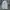SWEATPANT GREY BAGGY PANTS photo 2