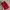 Tory Burch Luxury Casual Crossbody Bag Wanita Red
