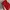 Tory Burch Luxury Casual Crossbody Bag Wanita red photo 6