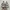 Nike v2k photo 4