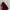 Furla Luxury Minimalist Crossbody Bag Wanita red photo 3