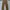 Casual Formal pants Pria brown photo 2