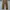 Casual Formal pants Pria brown photo 3