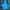 Tracktop Wilson Blue Navy Tennis Padel photo 5