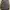Bellroy Classic Backpack photo 2