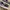 Vans Sk8 Low photo 2