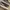 Vans Sk8 Low photo 2