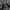 2008 HARLEY DAVIDSON Jacket 97059-07VX photo 6