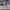 AIR JORDAN 1 LOW HYPER ROYAL photo 3