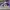 AIR JORDAN 1 LOW HYPER ROYAL photo 1