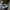 AIR JORDAN 1 LOW HYPER ROYAL photo 8