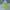 Sportswear Short Pria yellow photo 3