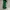 Vintage Streetwear Skirt Wanita Green