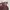Vintage Skirt Wanita brown photo 7