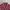 Kemeja boxy Lasain maroon skena kalcer shirt photo 2