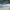 Adidas Sportswear Sneakers Pria Blue