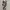 Longdress photo 5