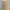 Longdress photo 6
