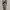 Longdress photo 4