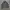 Knitwear Halfzip Stripe by Westbury photo 2