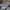 Vans sk8 low grey photo 2