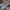 Vans Sk8 Low Grey
