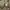 Knitwear Halfbutton Pattern 3D by London FOG photo 7