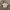 Vintage Y2K Pria white brown photo 1