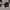 Nike Air Huarache Gripp  photo 3