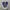 Converse Chuck Taylor All Star 70s True Navy Egret Original photo 2