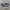Converse Chuck Taylor All Star 70s True Navy Egret Original photo 1