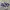 Converse Chuck Taylor All Star 70s True Navy Egret Original