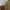 ZARA Streetwear Luxury Sweater Wanita khaki photo 5