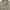 BALMAIN Paris Vneck Windbreaker Jacket photo 5