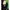 Puma Luxury Casual Puffer jacket Wanita green photo 4