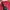 Calvin Klein CK Red Puffer Jacket photo 7