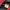 Calvin Klein CK Red Puffer Jacket photo 8