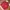 Calvin Klein CK Red Puffer Jacket photo 2