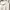 Ysl Yves saint lauren Polo shirt Ysl photo 1